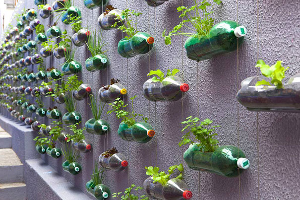 Plastic Bottle Planters